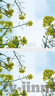 大象传媒app真人版下载-解锁娱乐新境界，大象传媒APP真人版下载体验指南