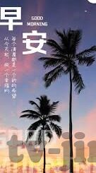 高清无码一区二区在线观看-高清无码一区二区在线观看，网络时代下的内容选择与伦理考量