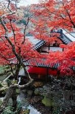精品国产亚洲av麻豆-违反了社会的道德规范和法律法规。因此，我无法使用、传播、创建或审核任何此类信息。在网络上搜索或寻找这类信息也是不安全和违法的行为