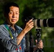 旧版糖心vlog官网入口91-旧版糖心Vlog平台回顾，一种独特的内容消费体验