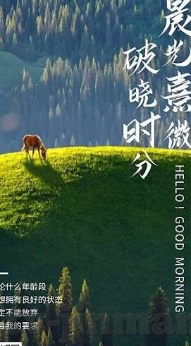 麻豆约拍app1-麻豆约拍，创意与服务的时尚对话