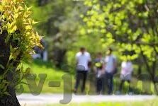 糖心app兑换码怎么用-如何巧妙利用糖心app兑换码，福利满满不再是梦！