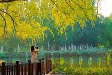 亚洲国产精品国自产拍av麻豆-探索亚洲国产精品的多元化文化与共鸣